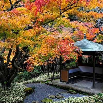 🌸 이치조 에칸 별장(이치조 에칸 산소)